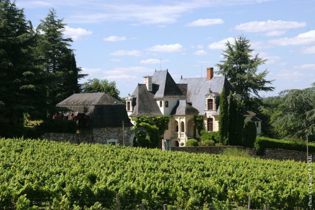 Manoir De La Groye Hotel Saint-Saturnin-sur-Loire Exterior foto